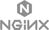 nginx logo